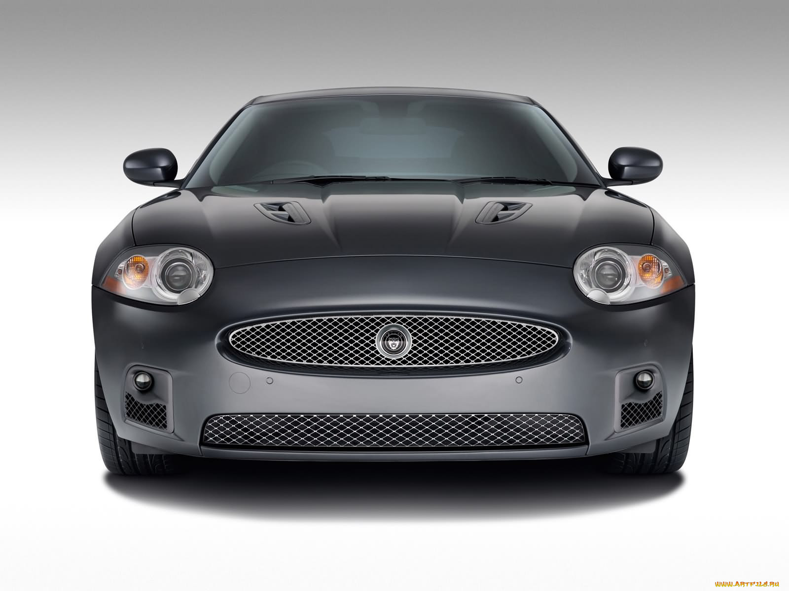, jaguar
